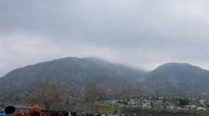 DSC_7780.jpg