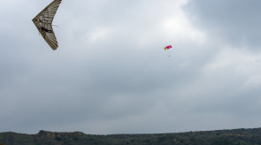 DSC_7830.jpg